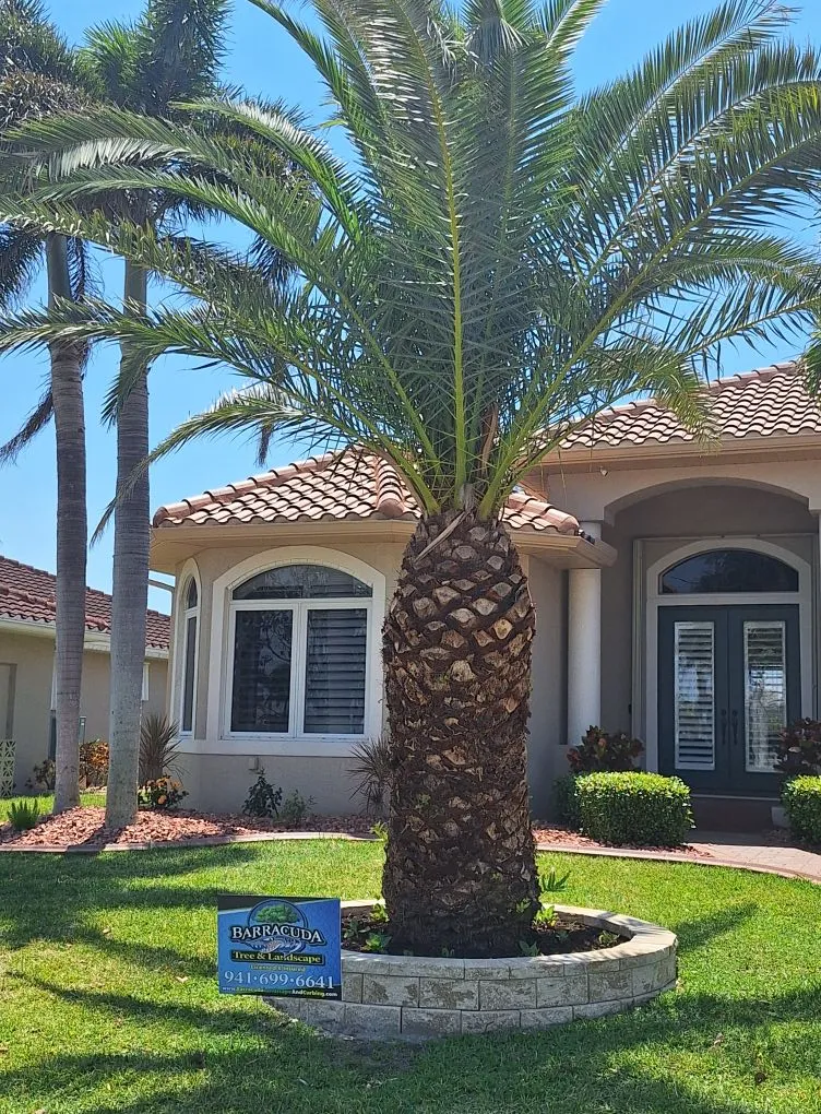 Decorative landscape curbing
